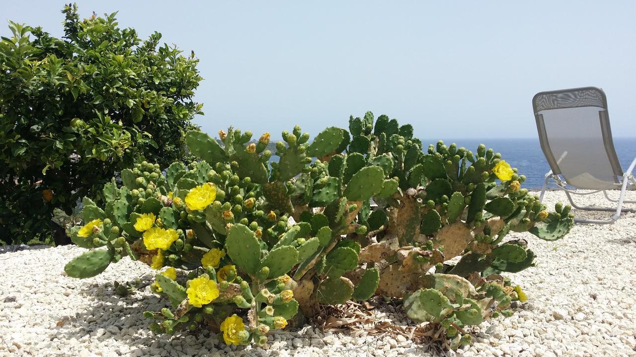 Casavacanze Maia Volcani * Acireale